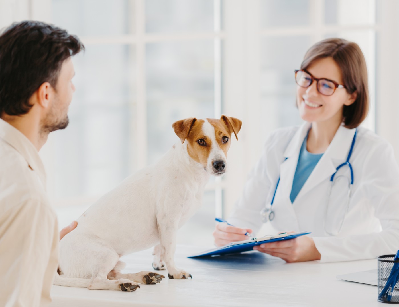 comprehensive-veterinary-examinations