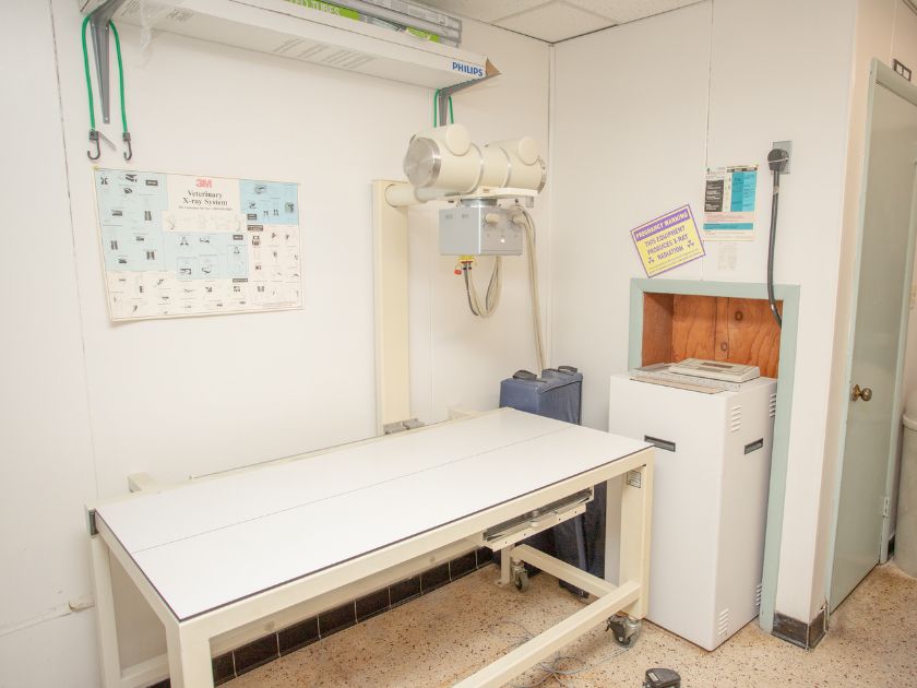 X-Ray room at Beach Park Animal Clinic