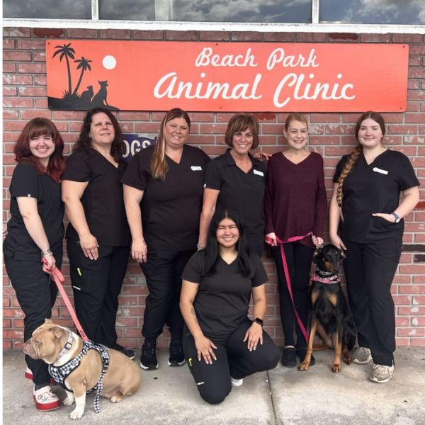 Veterinary team at Beach Park Animal Clinic